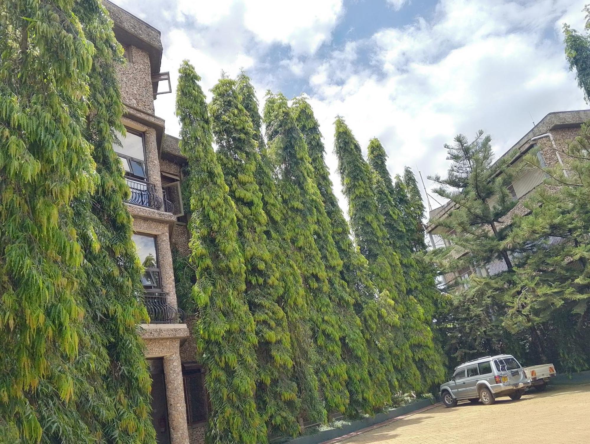 אנטבה Discovery Courts Hotel מראה חיצוני תמונה